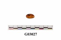 藏品(琥珀)的圖片